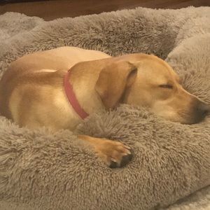 Meet your Posher, Deanne